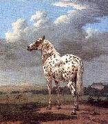 POTTER, Paulus The Piebald Horse oil painting artist